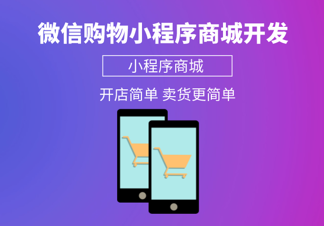 <b>商城小程序app开发：打造B2C品牌自营商城平台</b>